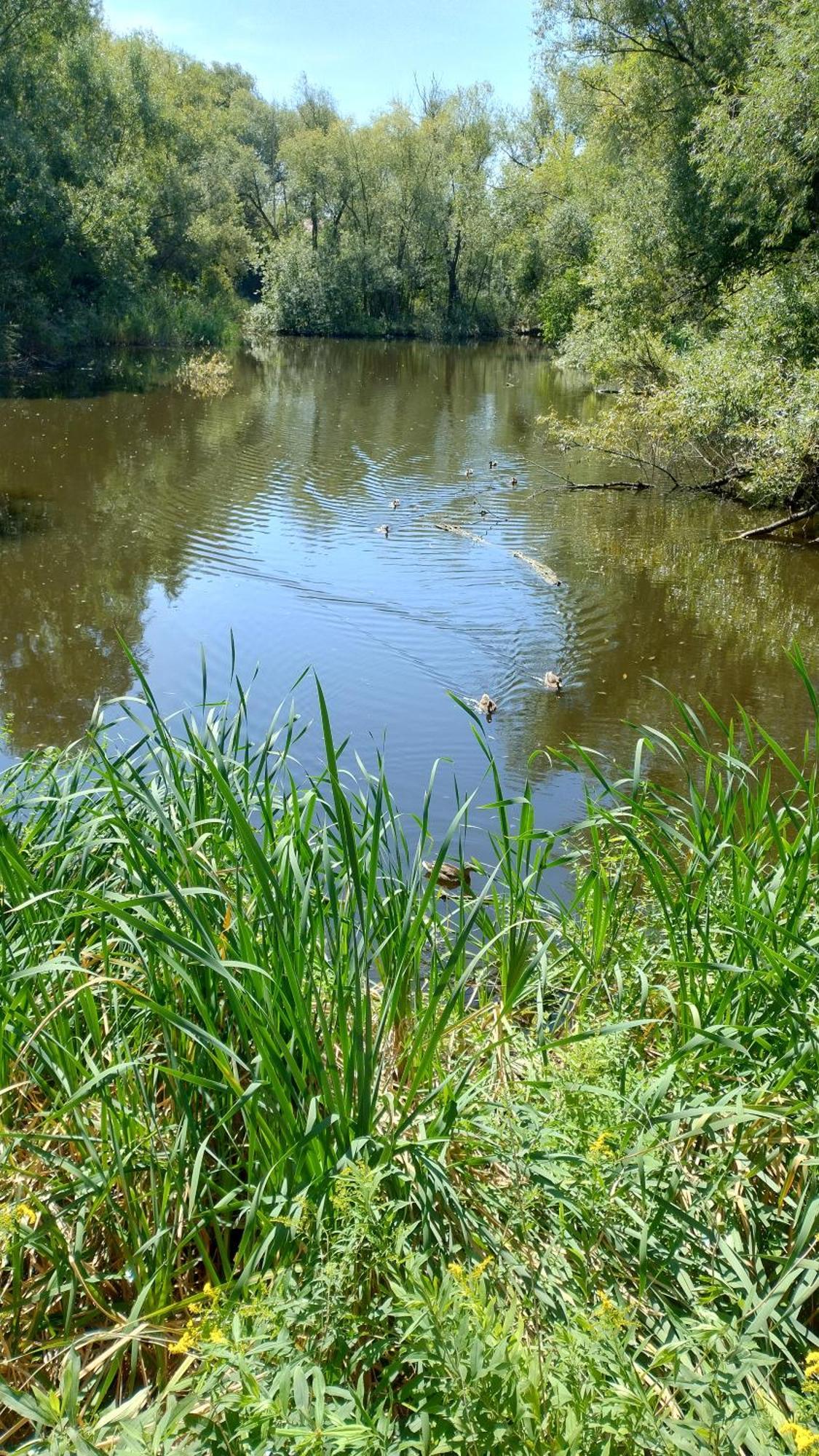 דירות ורשה Gawota 9 מראה חיצוני תמונה